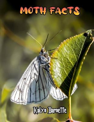 Book cover for Moth Facts