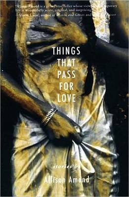 Book cover for Things That Pass for Love