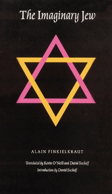 Book cover for The Imaginary Jew