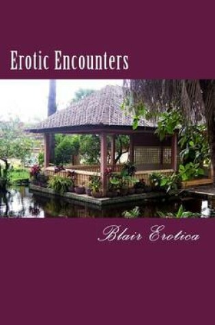 Cover of Erotic Encounters