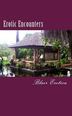 Book cover for Erotic Encounters