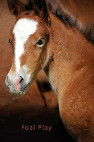 Cover of Pocket Password Book (Foal Play)