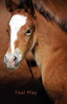 Cover of Pocket Password Book (Foal Play)