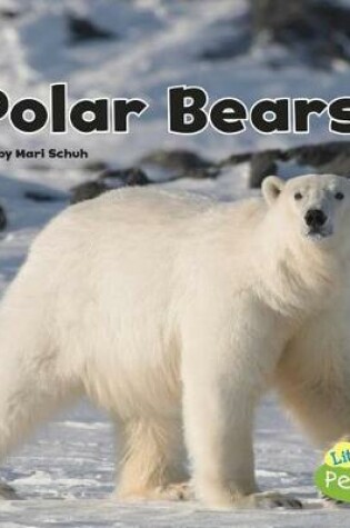 Cover of Polar Bears (Black and White Animals)