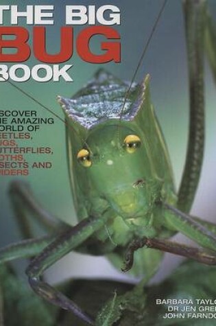 Cover of The Big Bug Book