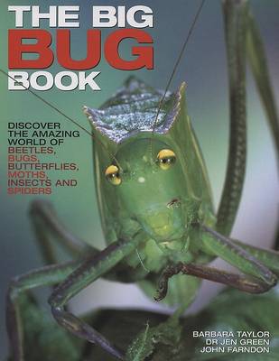 Book cover for The Big Bug Book
