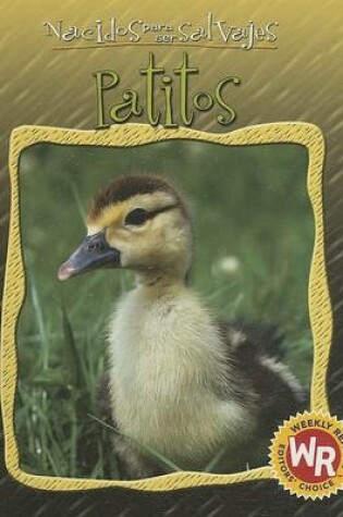 Cover of Patitos (Little Ducks)