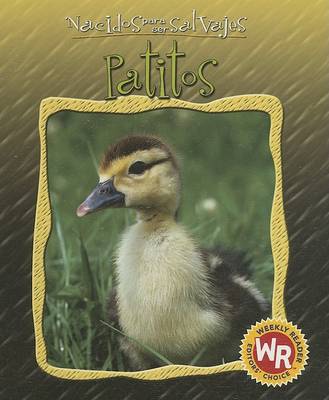 Cover of Patitos (Little Ducks)