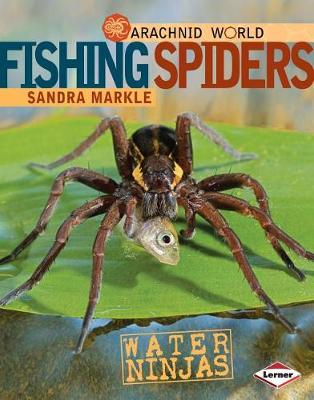 Book cover for Fishing Spiders