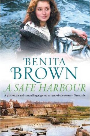 Cover of A Safe Harbour