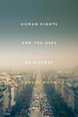 Book cover for Human Rights and the Uses of History