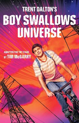 Book cover for Boy Swallows Universe Playscript