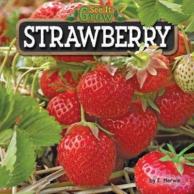 Book cover for Strawberry
