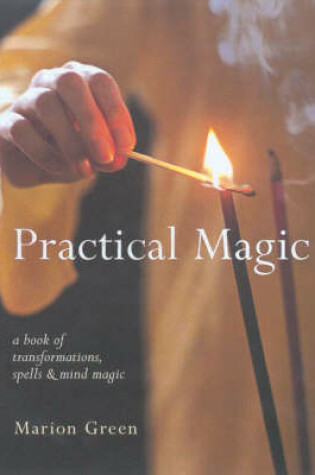 Cover of Practical Magic