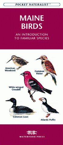 Cover of Maine Birds