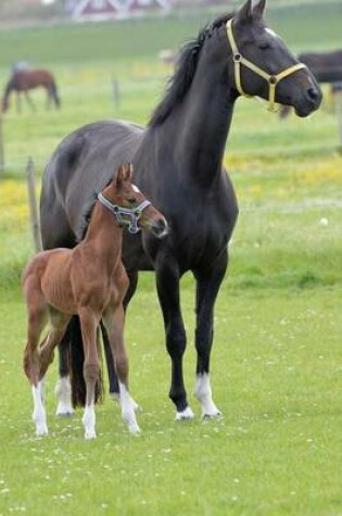 Cover of A Mare and Her Foal, for the Love of Horses