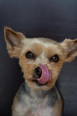 Book cover for Funny Puppy Dog Licking Its Nose Animal Journal