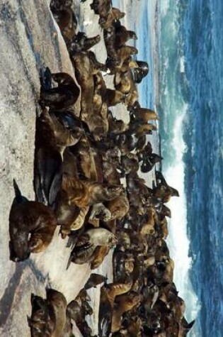 Cover of A Huge Gathering of Sea Lions on a Rocky Shore