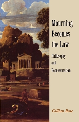 Book cover for Mourning Becomes the Law