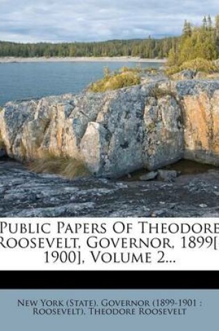 Cover of Public Papers of Theodore Roosevelt, Governor, 1899[-1900], Volume 2...