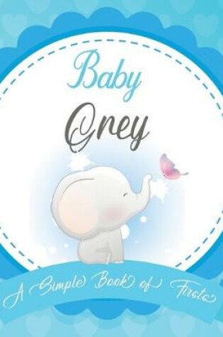 Cover of Baby Grey A Simple Book of Firsts