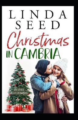 Book cover for Christmas in Cambria