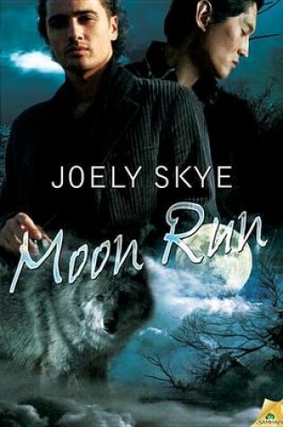 Cover of Moon Run