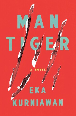 Book cover for Man Tiger