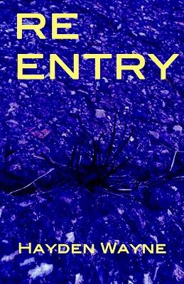 Book cover for Re Entry