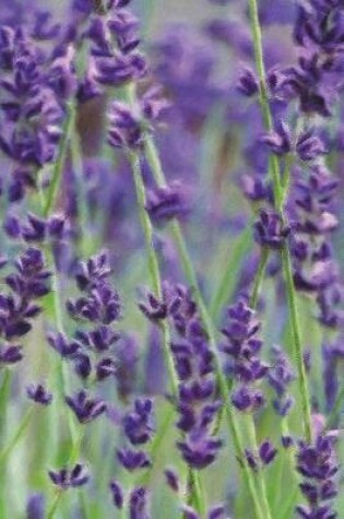 Cover of Wild Lavender - Blank Notebook with Fleur de Lis Corners