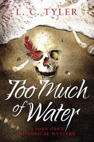 Cover of Too Much of Water