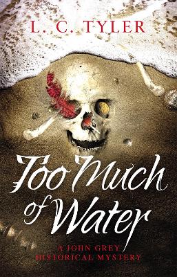 Book cover for Too Much of Water