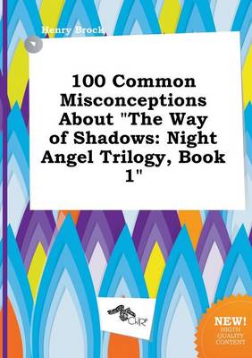 Book cover for 100 Common Misconceptions about the Way of Shadows