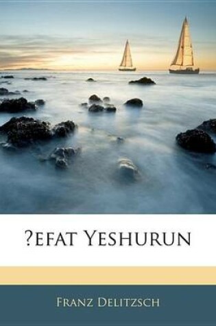 Cover of Efat Yeshurun