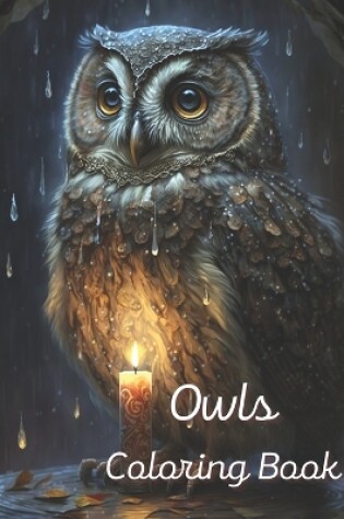 Cover of Owls Coloring Book