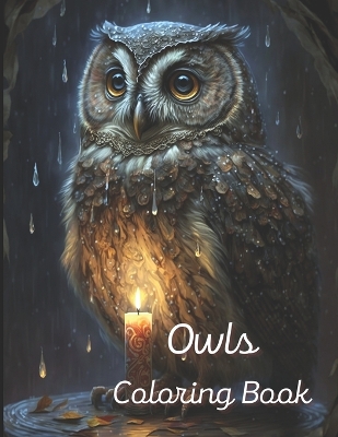 Book cover for Owls Coloring Book