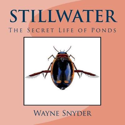 Book cover for Stillwater