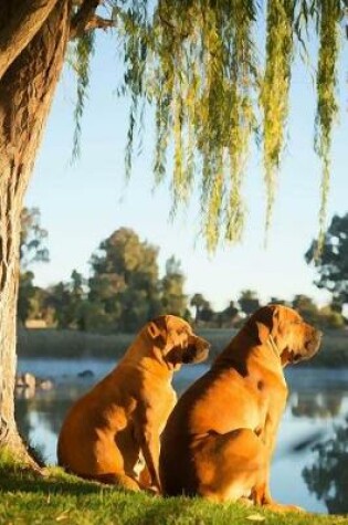 Cover of Boerboel