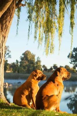 Book cover for Boerboel