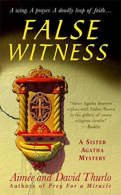 Book cover for False Witness