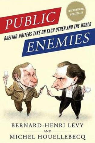 Cover of Public Enemies: Dueling Writers Take on Each Other and the World