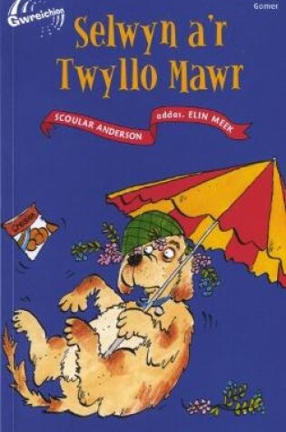 Cover of Cyfres Gwreichion: Selwyn a'r Twyllo Mawr