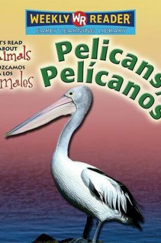 Cover of Pelicans / Pelícanos