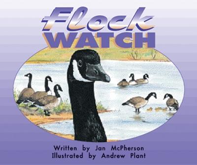 Cover of Flock Watch (Level 10)