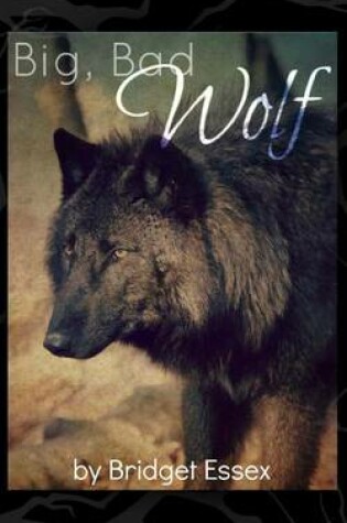 Cover of Big, Bad Wolf