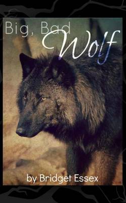 Book cover for Big, Bad Wolf