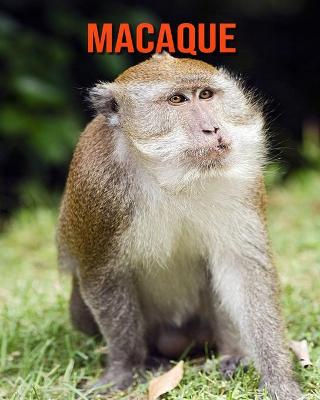 Book cover for Macaque