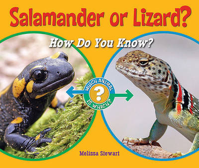 Book cover for Salamander or Lizard?