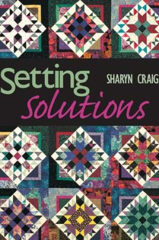 Cover of Setting Solutions