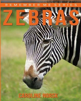 Book cover for Zebras